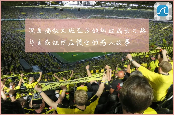 深度揭秘文班亚马的热血成长之路与自我组织应援会的感人故事