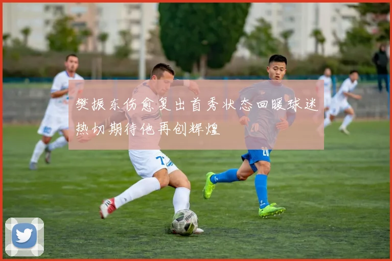 樊振东伤愈复出首秀状态回暖球迷热切期待他再创辉煌